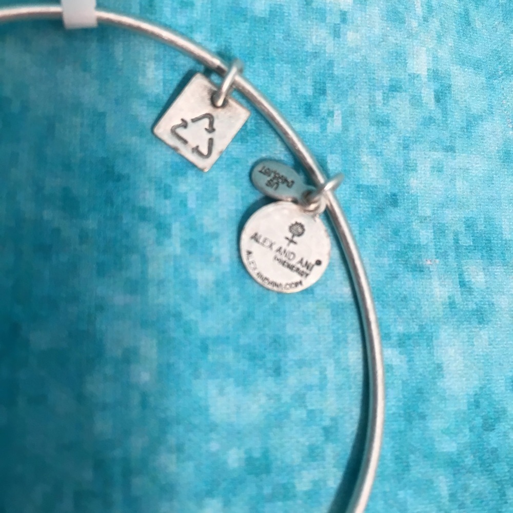 Alex and Ani Silver Lamp of Light Bangle - Picture 4 of 8